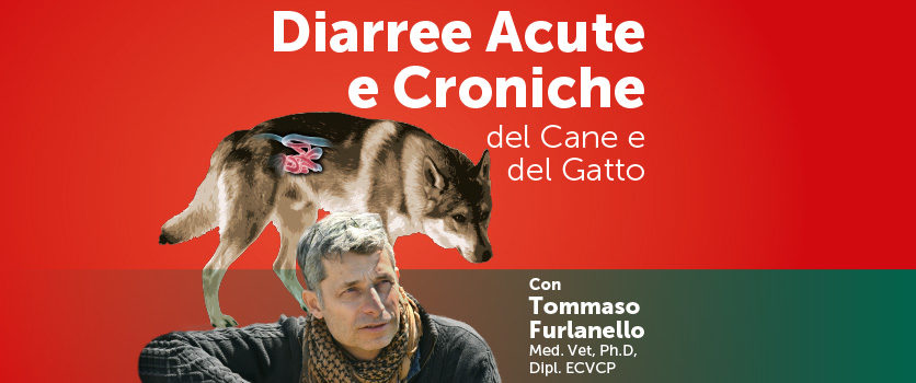 Diarree acute e croniche del cane e del gatto, con Tommaso Furlanello