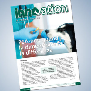 PEA-um: quando la dimensione fa la differenza