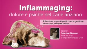 Inflammaging: dolore e psiche nel cane anziano - PRIMA PARTE