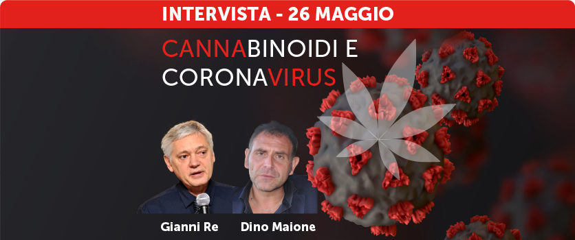 Cannabinoidi e coronavirus: esperti a confronto