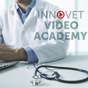 Innovet Video Academy, un contributo alla formazione online del veterinario
