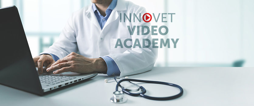 Innovet Video Academy, un contributo alla formazione online del veterinario