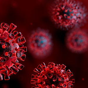 Coronavirus: proteggere cani e gatti dalla tempesta infiammatoria