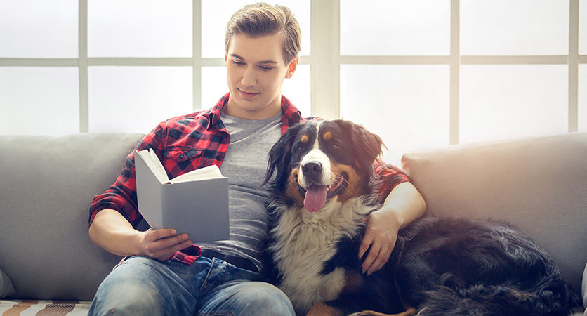 Cane: il migliore amico dell’uomo anche contro il Covid-19