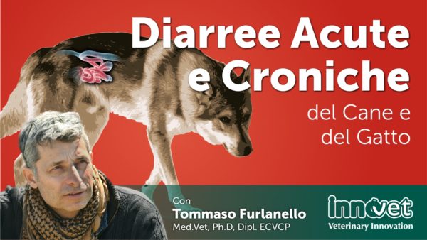 Diarree Acute del Cane e del Gatto da cause infettive / parassitarie.