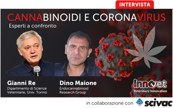 INTERVISTA - Cannabinoidi e Coronavirus: esperti a confronto.