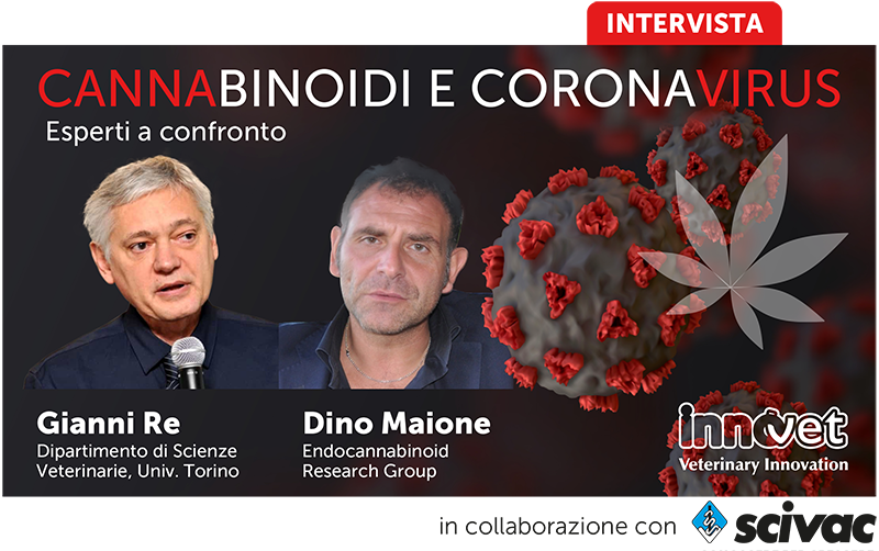 INTERVISTA - Cannabinoidi e Coronavirus: esperti a confronto.