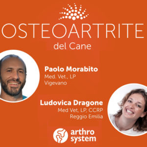 Osteoartrite: un ciclo di webinar per i Medici Veterinari