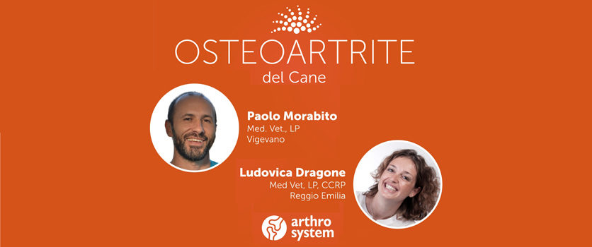 Osteoartrite: un ciclo di webinar per i Medici Veterinari