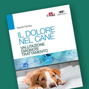 Un nuovo manuale pratico sul dolore del cane