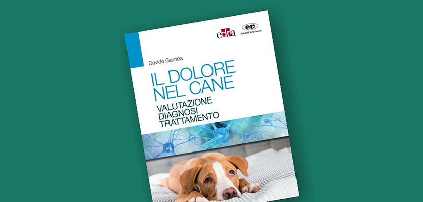 Un nuovo manuale pratico sul dolore del cane