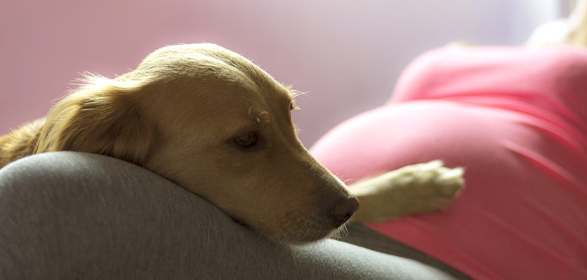 I cani in famiglia proteggono i neonati dalle allergie alimentari