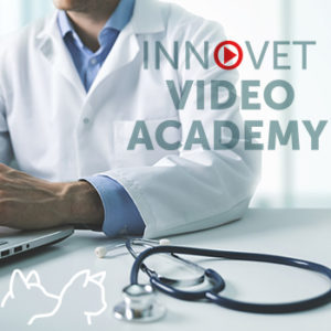 Ti sei perso i nostri webinar? Niente paura c’è Innovet Video Academy
