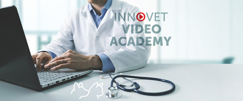 Ti sei perso i nostri webinar? Niente paura c’è Innovet Video Academy