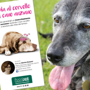 Una guida per farli invecchiare con successo