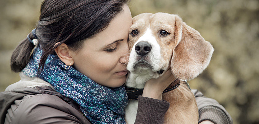 Uomo e animali uniti nel dolore