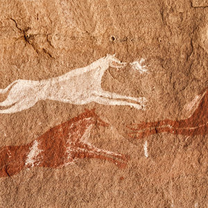 È italiano il primo cane domestico del pleistocene