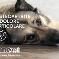 Riconoscere i segni di dolore articolare
