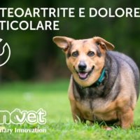 I fattori di rischio dell’Osteoartrite