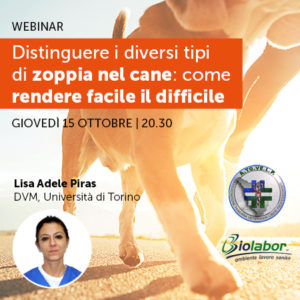 Un webinar per veterinari sui diversi tipi di zoppia del cane