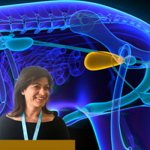Un webinar veterinario sui tumori vescicali di cani e gatti