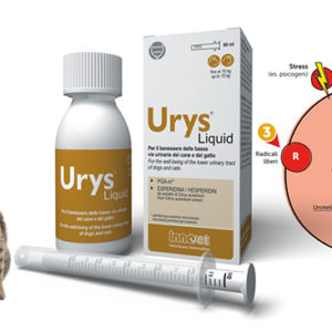 Urys® nuova formula liquida per le basse vie urinarie