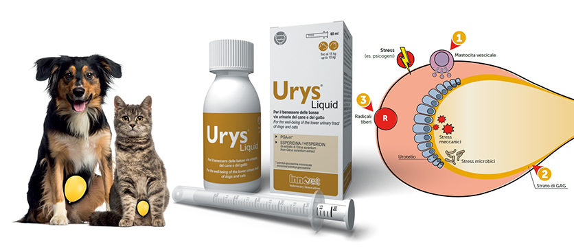 Urys® nuova formula liquida per le basse vie urinarie