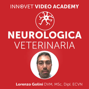 Neurologia del cane su Innovet Video Academy