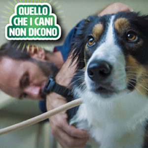Una nuova video-serie web sui problemi articolari del cane