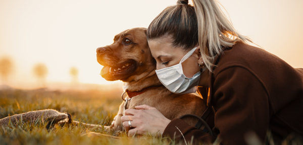 Prendersi cura di cani e gatti ai tempi del COVID