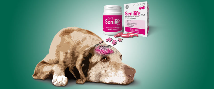 Senilife® diventa Plus grazie alla PEA-um