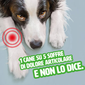 Campagna sul dolore articolare, a che punto siamo?