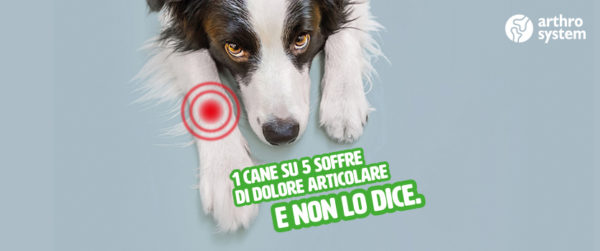 Campagna sul dolore articolare, a che punto siamo?