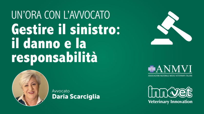 Un’ora con l’avvocato - Gestire il sinistro: il danno e la responsabilità