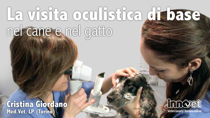 La visita oculistica di base del cane e del gatto