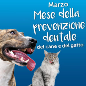 Marzo, mese della prevenzione dentale