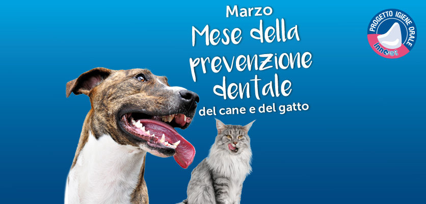 Marzo, mese della prevenzione dentale