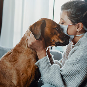 Cinque domande su COVID-19 e animali da compagnia