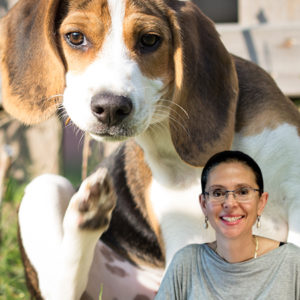 La Dermatite Atopica secondo Chiara Noli: terapia nel cane