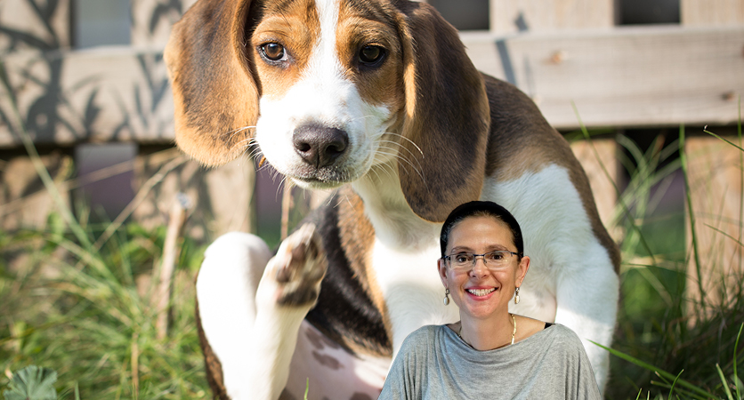 La Dermatite Atopica secondo Chiara Noli: terapia nel cane