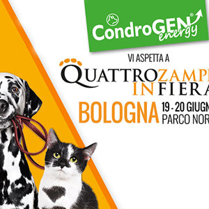 Quattrozampeinfiera ricomincia da Bologna: Condrogen c’è!