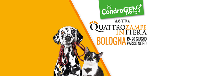 Quattrozampeinfiera ricomincia da Bologna: Condrogen c’è!