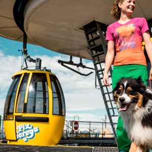 Una giornata dog friendly in alta quota