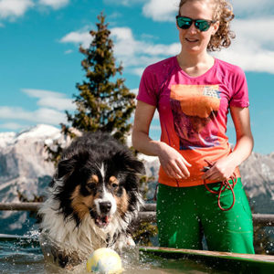 Cani in montagna: cinque regole di salute