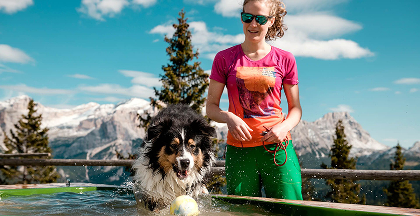 Cani in montagna: cinque regole di salute