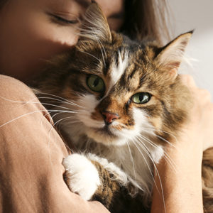 I gatti ci cambiano dentro