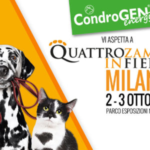 Salute articolare a Quattrozampeinfiera