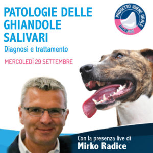 Un webinar veterinario sui problemi delle ghiandole salivari