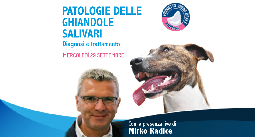 Un webinar veterinario sui problemi delle ghiandole salivari