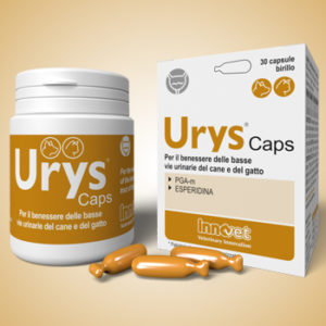 Nuovo Urys® Caps per la salute delle basse vie urinarie di cani e gatti